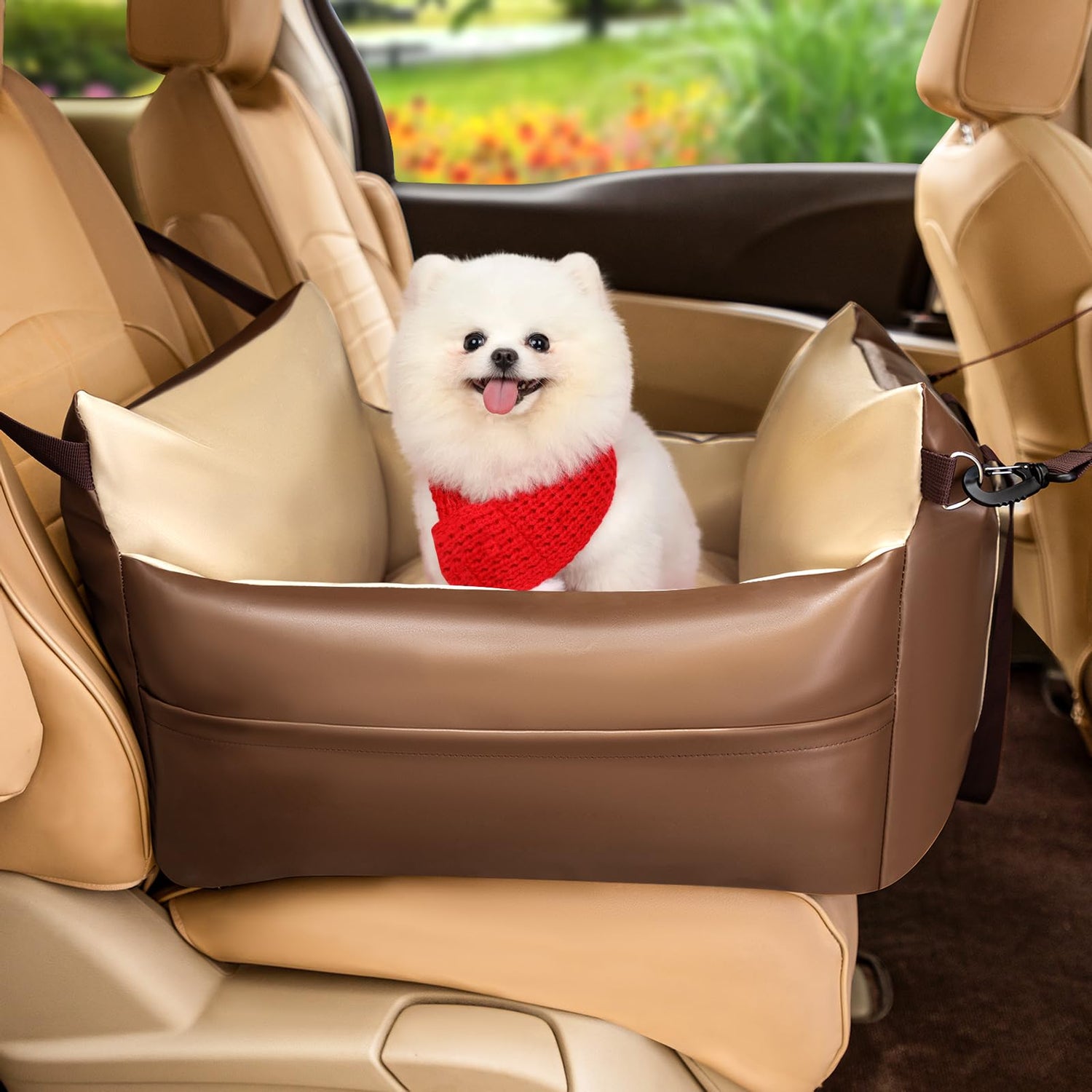 Pet Safe Travel
