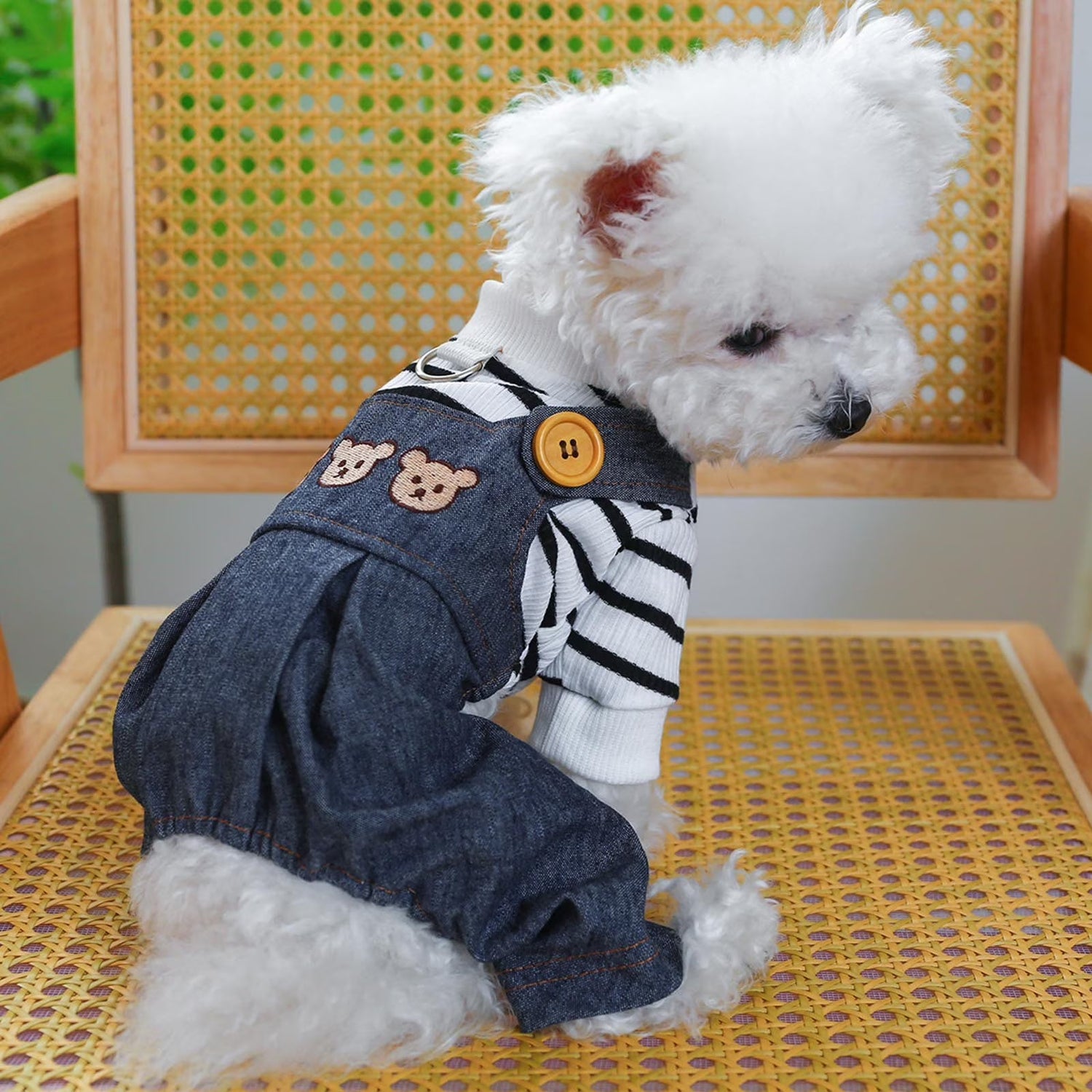 Pet Apparel