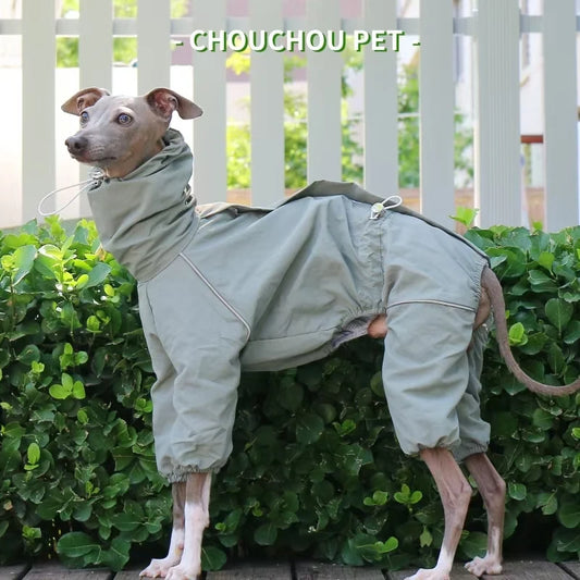 Italian Greyhound Raincoat Autumn and Winter Outdoor Pet Jacket Whippet Windproof and Rainproof Dog Clothes